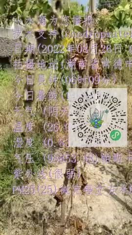FjY-asXaEUJQ-R-OwuSIb7Dh0dcKmp4