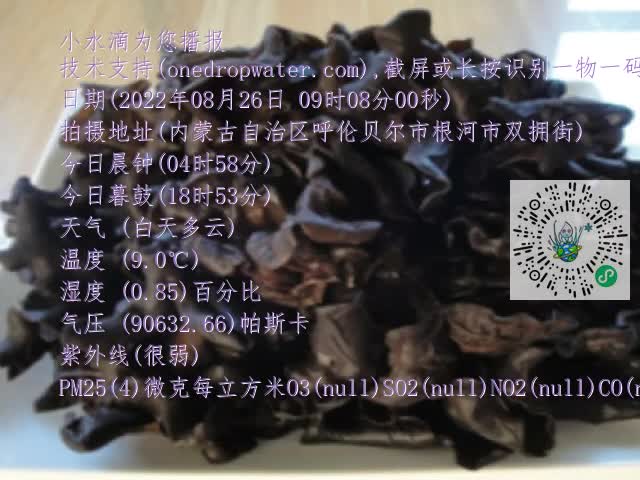 0.mp4