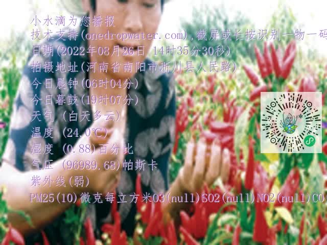 0.mp4