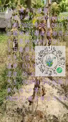 FlbQprC7ncLdIMhlGHGzj2jXBXxgmp4