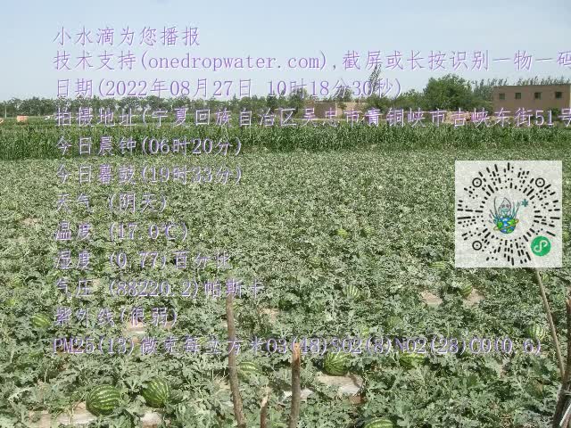 0.mp4