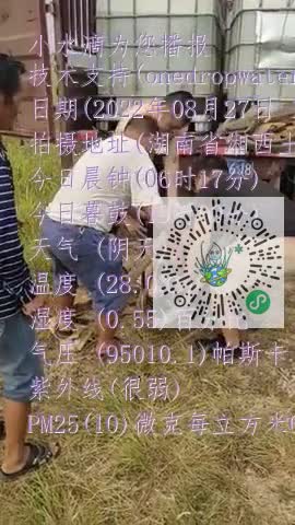 lmltEFHJRSAwbzm9jQA-hLW9XKQMmp4