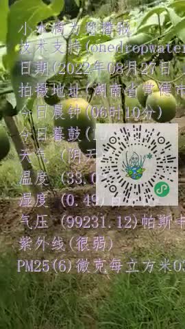 loyb5-nto96GKagECfv5-qH3BvXwmp4