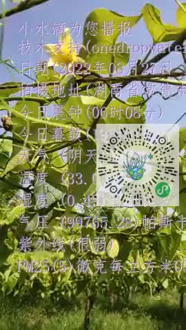 lvdJZDpeEYDpdmC9j6LvpYfdty7Hmp4
