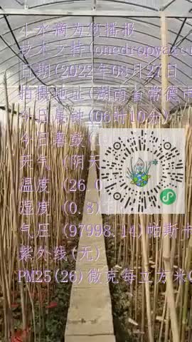 Fi2_VFIAF_DRpygBaccm8A6Csv8Kmp4