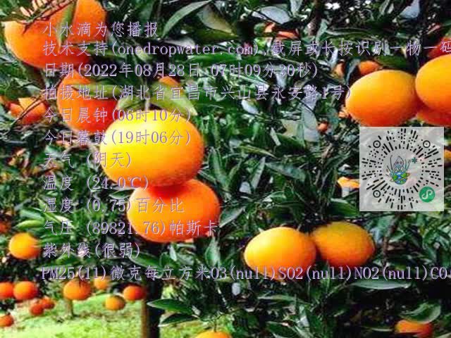 9f27c15a54c36c088ceecf758502d516.mp4