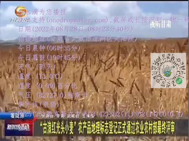 0.mp4