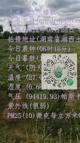 ljpO3mk8FODf1B2_FghAwoNcpLKpmp4