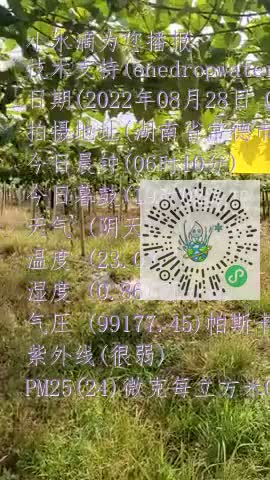 lpPOE2tkfY77Fd63nU5ERIBTi814mp4