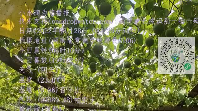 lr-O7Oy0FollYI5ci8FiFLnCVoWemp4