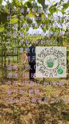 lt1FGRmIv7yK36AU6K8HO61Xz8_7mp4