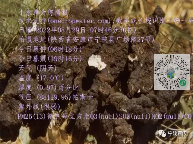 0.mp4