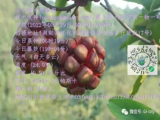 0.mp4