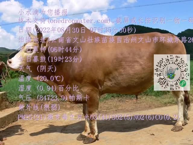 0.mp4