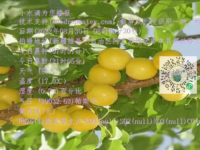 67804975fc4d755441263197e25d19dd.mp4