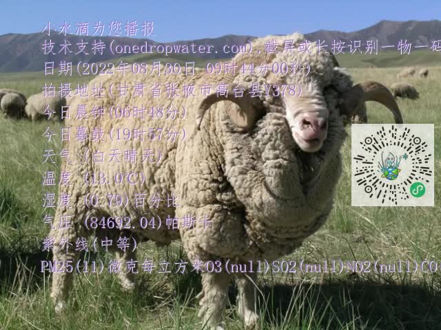 0.mp4