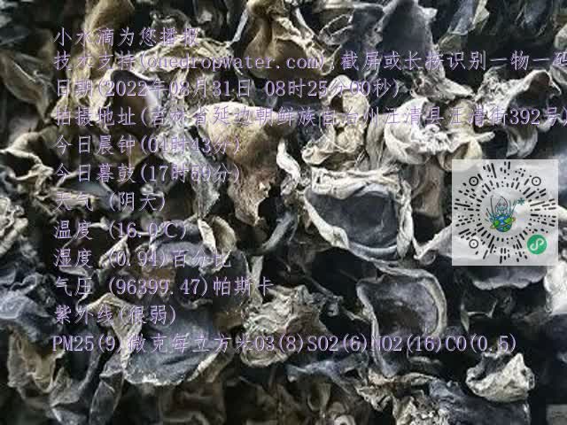 0.mp4