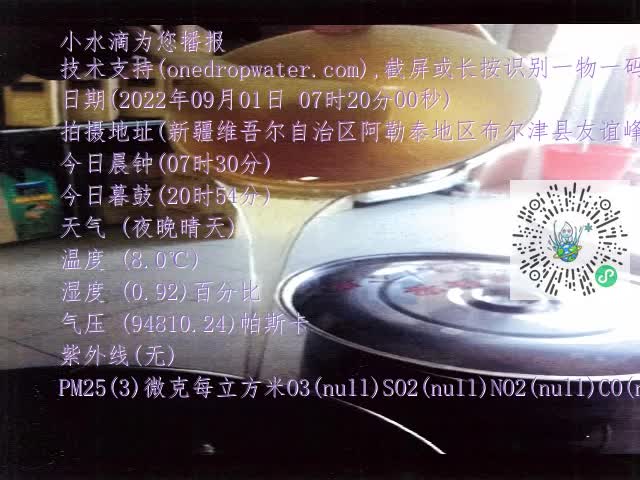 0.mp4