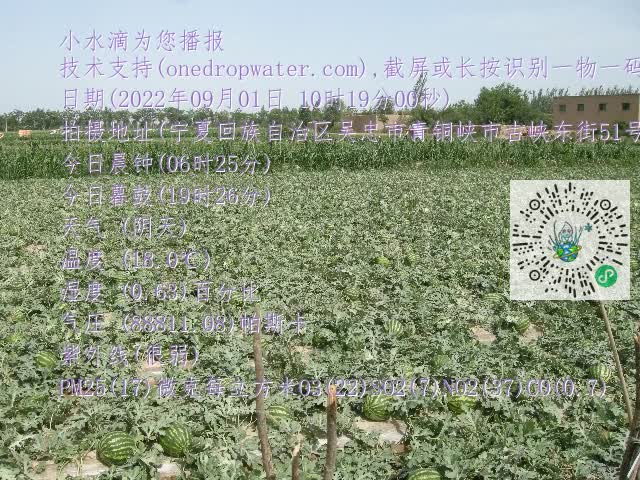 0.mp4