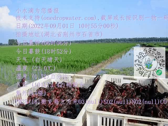 9c8b76a398c17587dc2fc48d5d266ed1.mp4