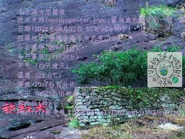 562dcbd6552486cfabb7187983c1d0e5.mp4
