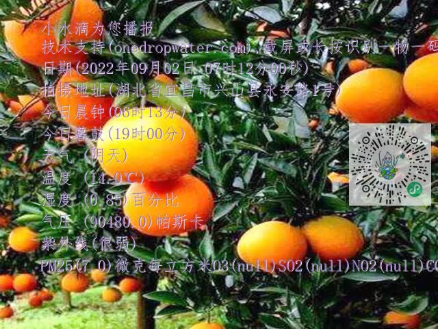 9f27c15a54c36c088ceecf758502d516.mp4