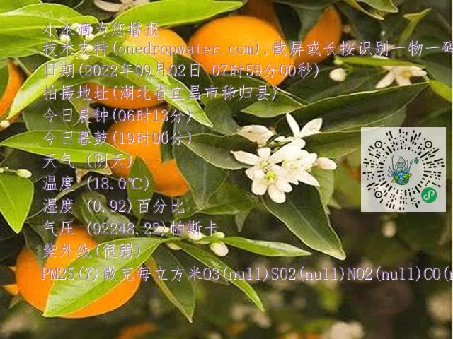 f1fac5e38601cdf40f959c1222e9362e.mp4