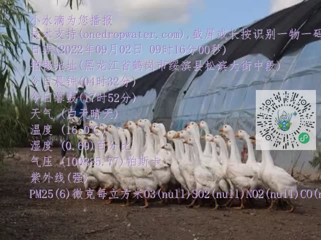 0.mp4