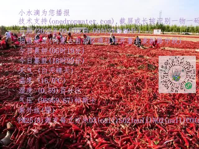 0.mp4