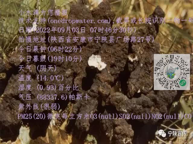 0.mp4