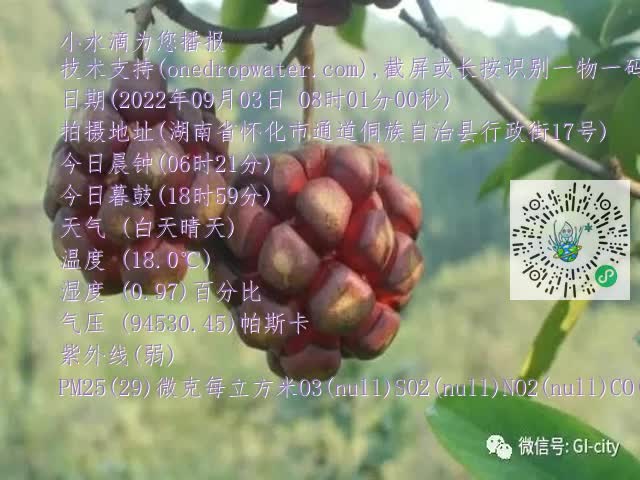 0.mp4