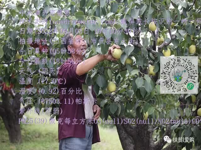0.mp4