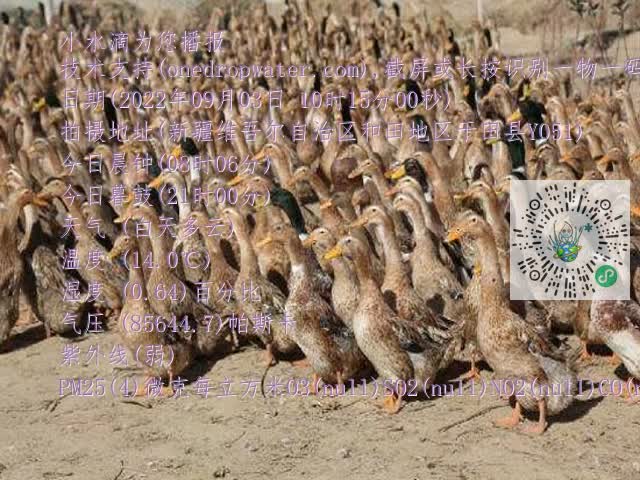 0.mp4