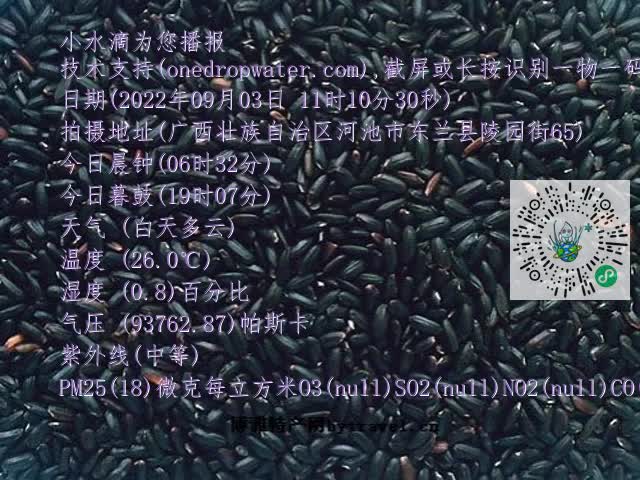 0.mp4