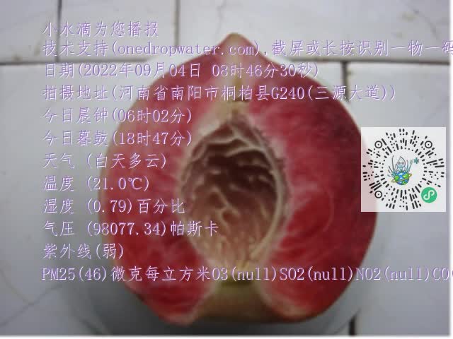 0.mp4