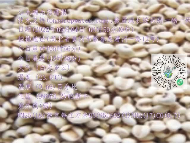 0.mp4