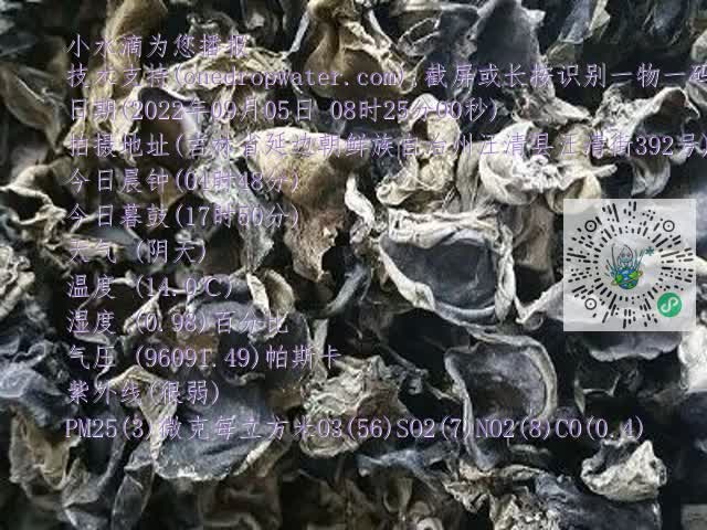 0.mp4