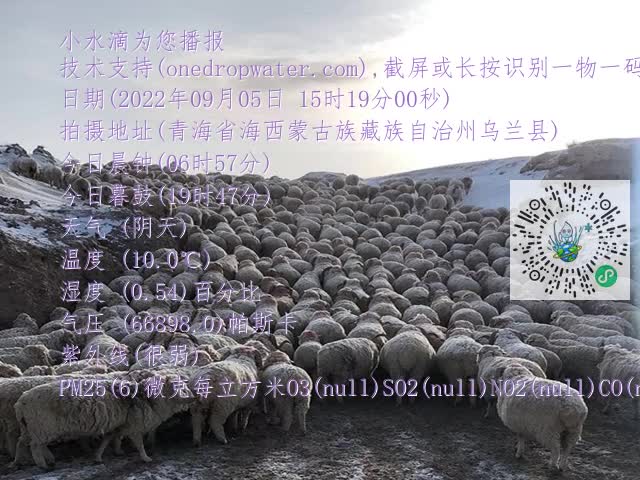 20a37bd5021d21591bac0a734073c578.mp4