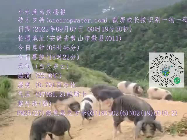 7756d8ddc8a2b12d0eee5752912e28e7.mp4