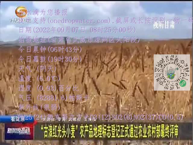 0.mp4