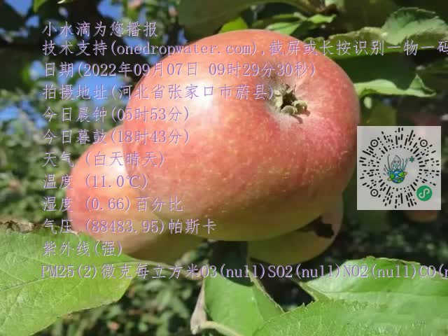0.mp4