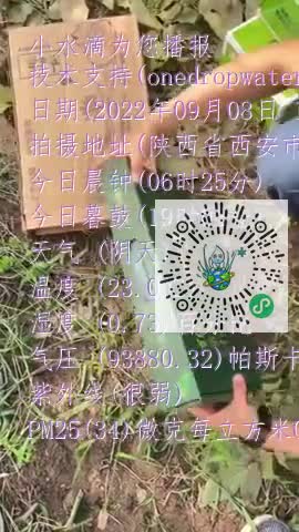 Fq4Ez5QMS74aWOBsNO99B259TtnRmp4