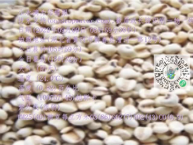 0.mp4