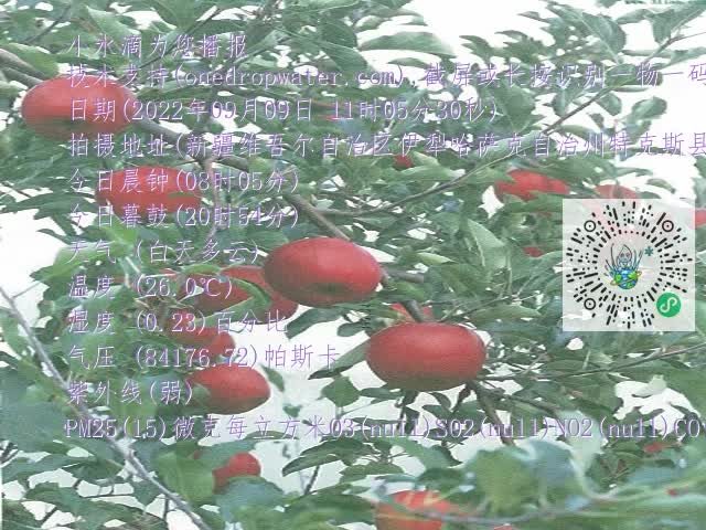 0.mp4