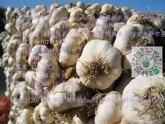 0.mp4