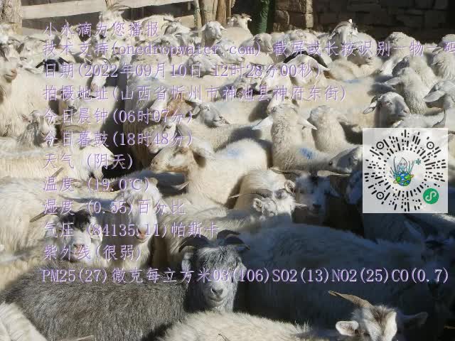0.mp4