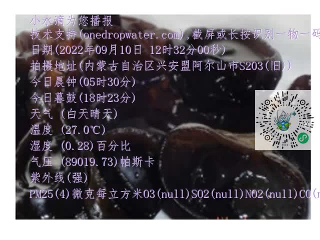 0.mp4