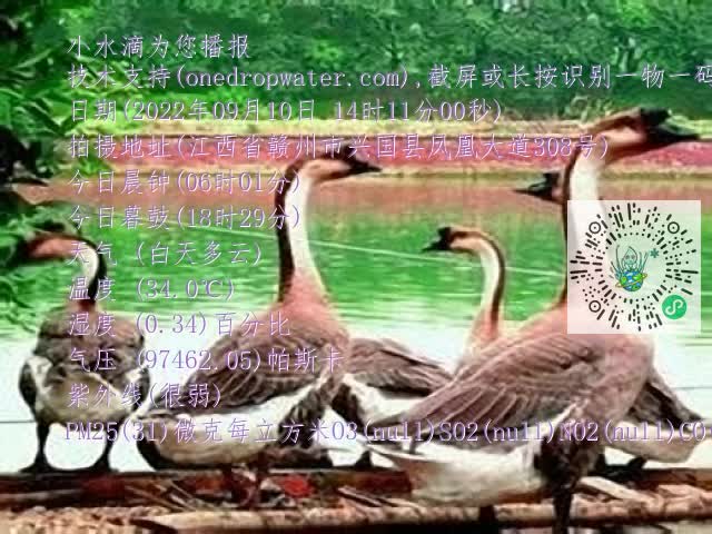 0.mp4