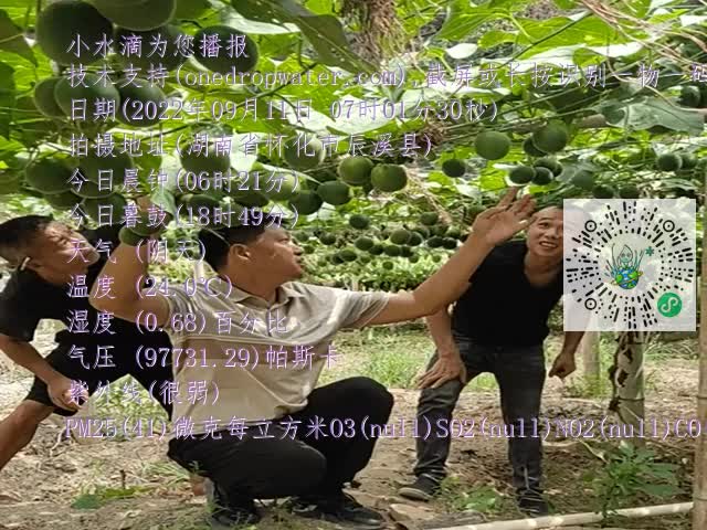 98614f292e58f9664449f9b10834ff52.mp4