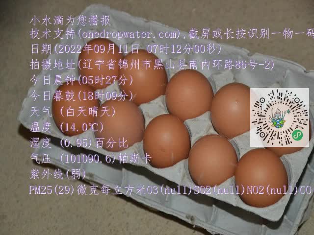0.mp4